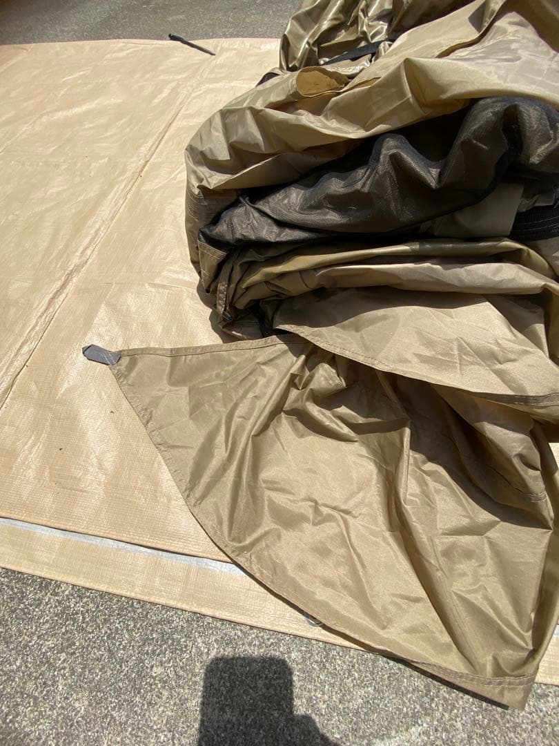 SABBATICAL サバティカル アルニカ