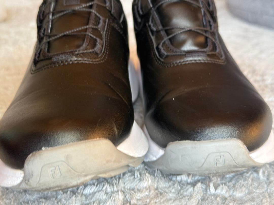 クレマチス様　プロライト BOA 24cm 黒/グレー