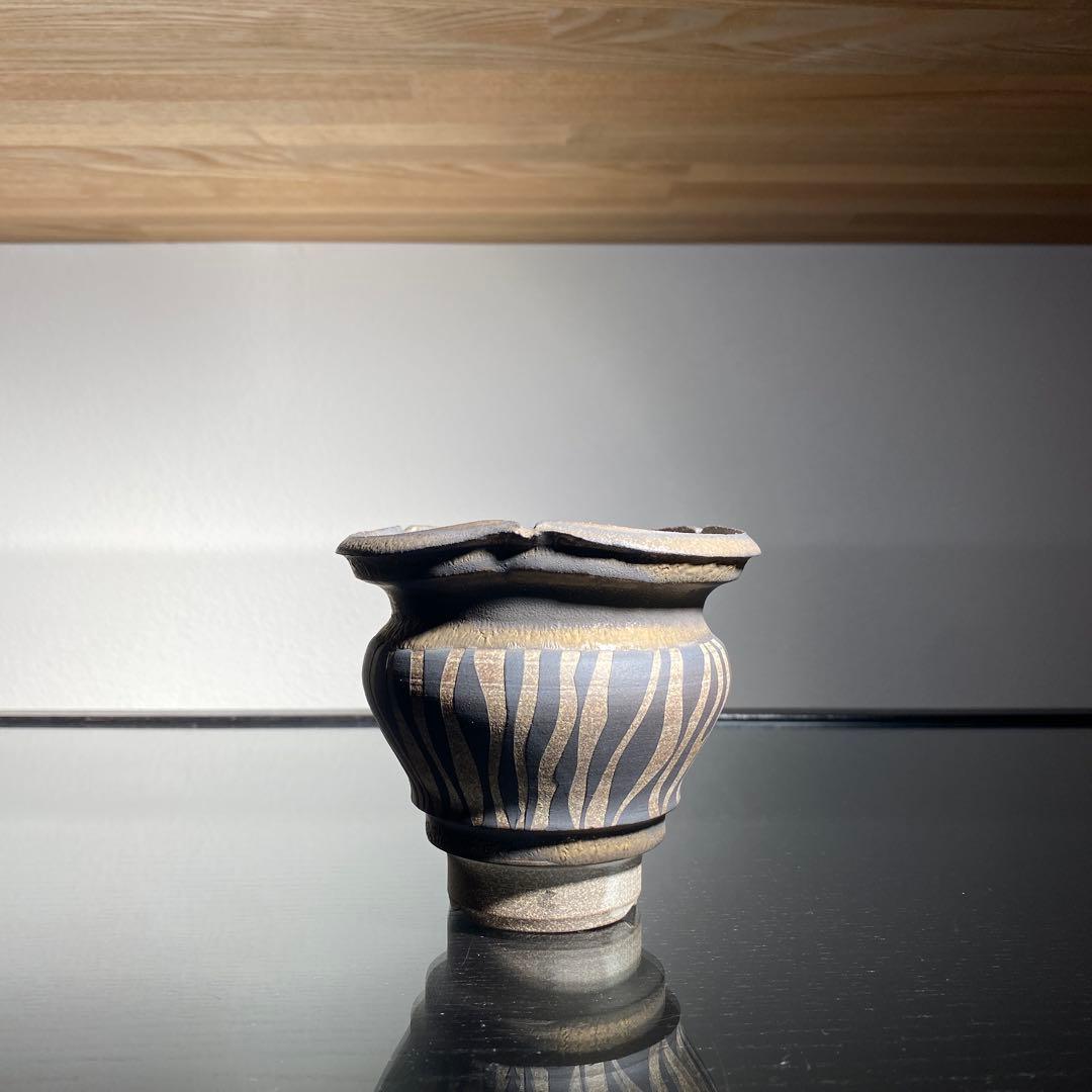 大貫 弘由岐 Y鉢