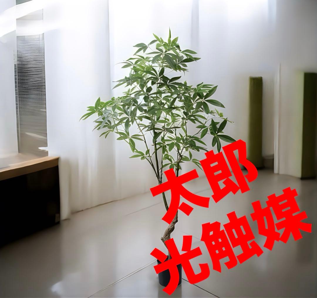 光触媒　人工観葉植物　ウォールグリーン　フェイクグリーン　パキラ18090