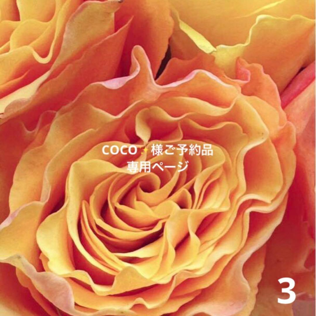 専用◇ご予約追加品　3枚BCD