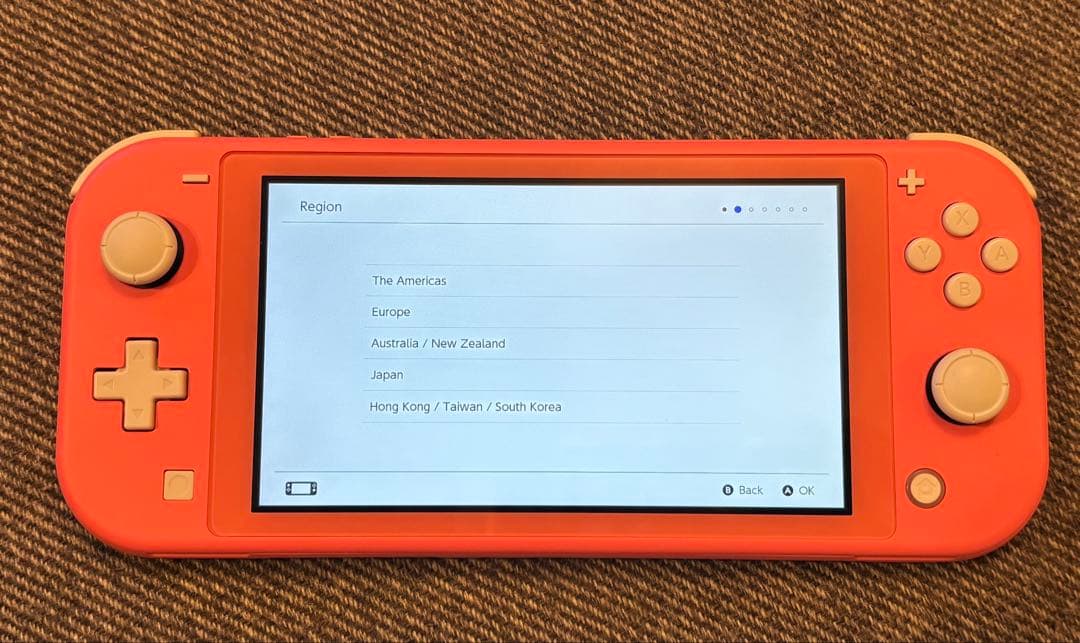 Nintendo Switch Lite 専用のケース付き