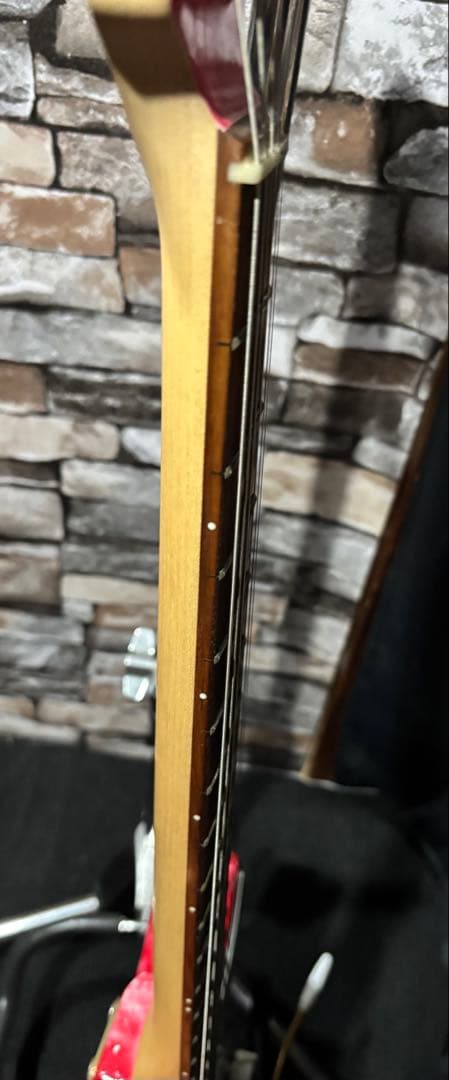 ギター GrassRoots G-SNAPPER-TO mod.