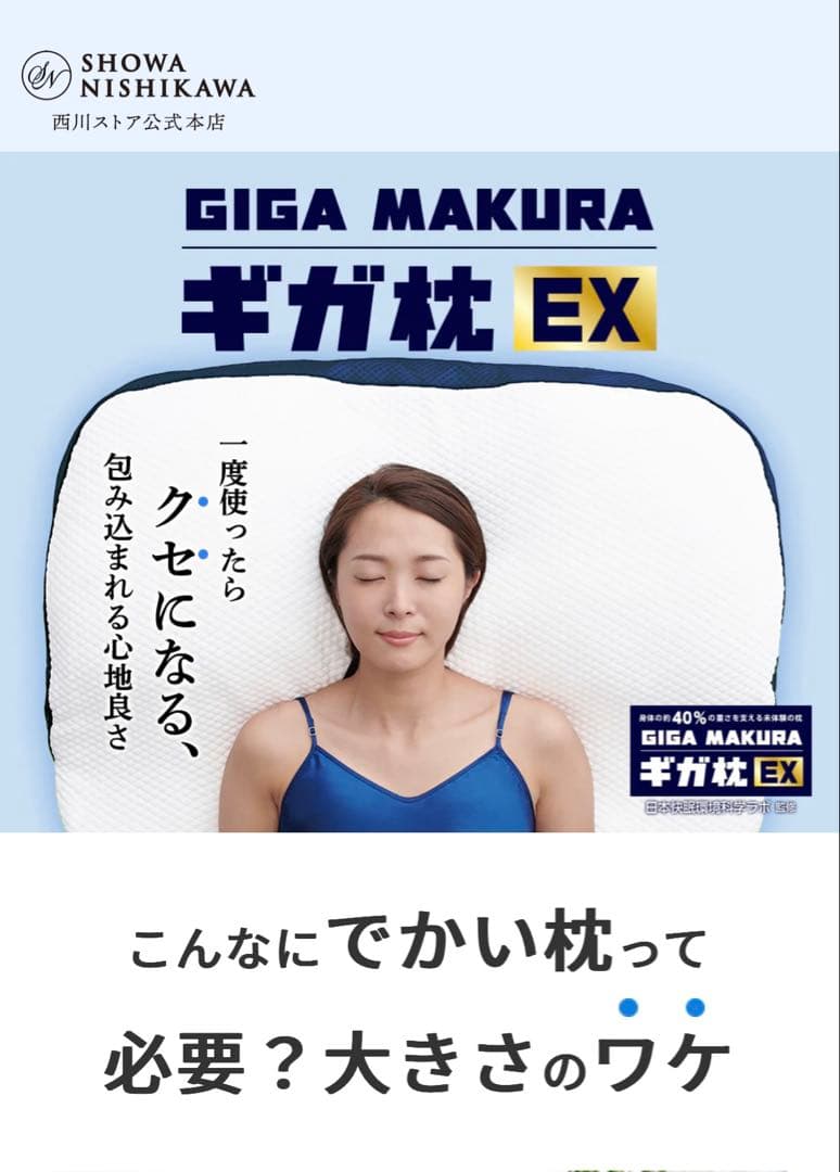 昭和西川ギガ枕EX