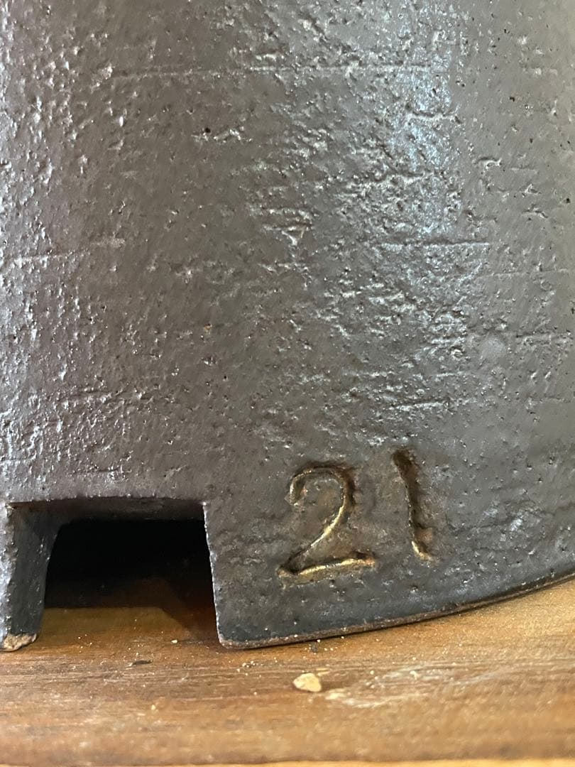 【現地球／発根済】オペルクリカリア　パキプス（2頭）ODDROOTS管理株