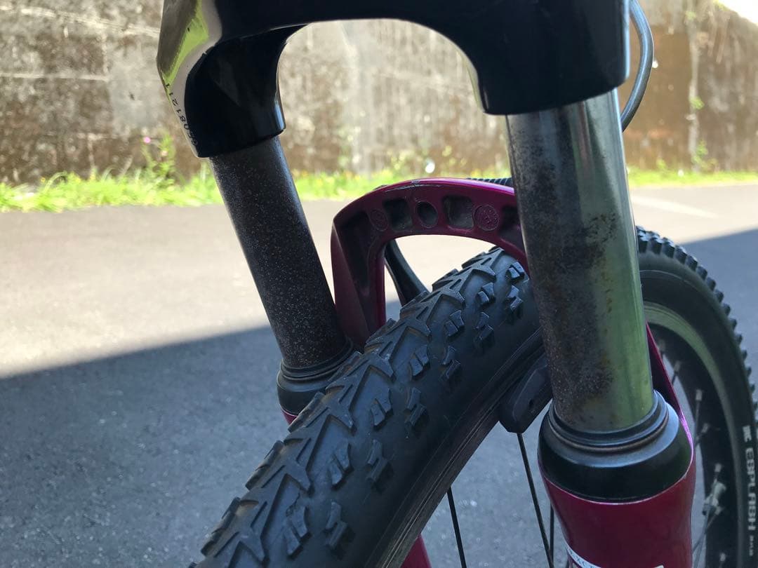 【引取りのみ】LOUIS GARNEAU LGS-FIVE