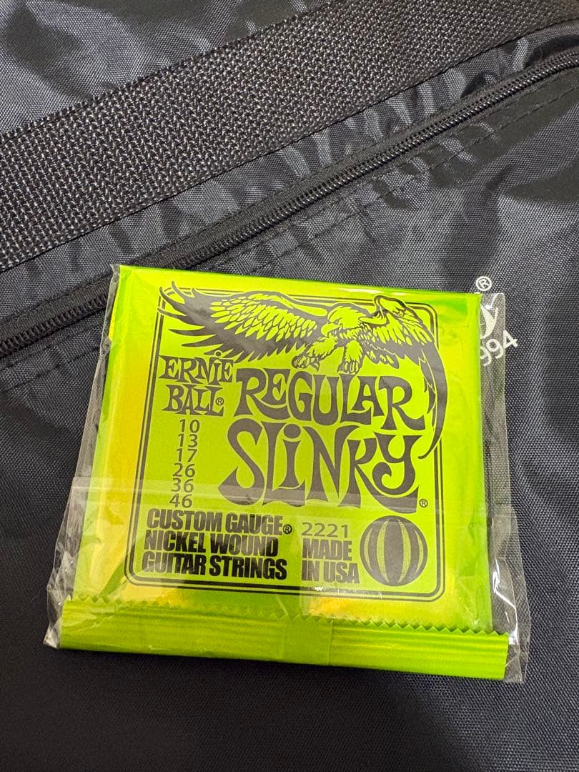 Bacchus テレキャスター 弦・ギターケース付き