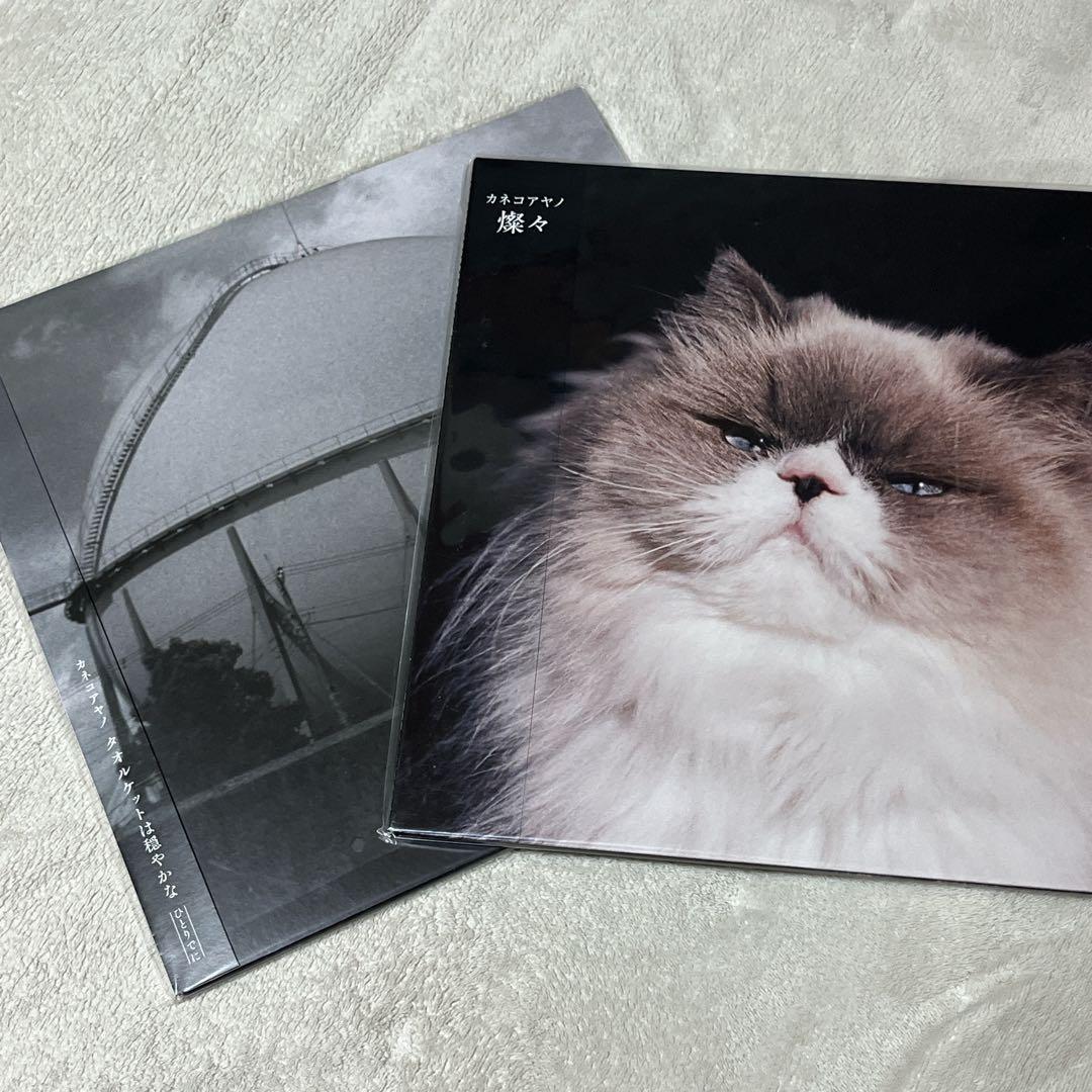 カネコアヤノ　レコード　燦々　タオルケットは穏やかな ひとりでに　2点セット