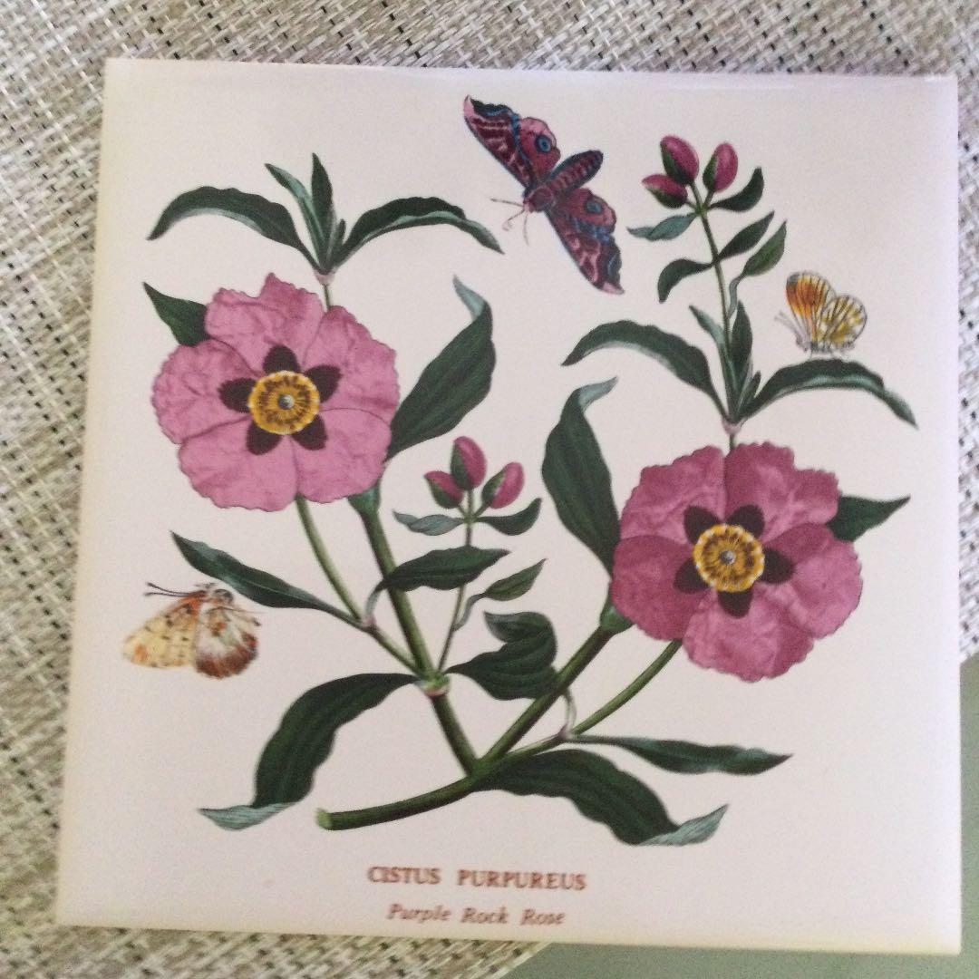 レアイギリス ポートメリオン タイル 二枚