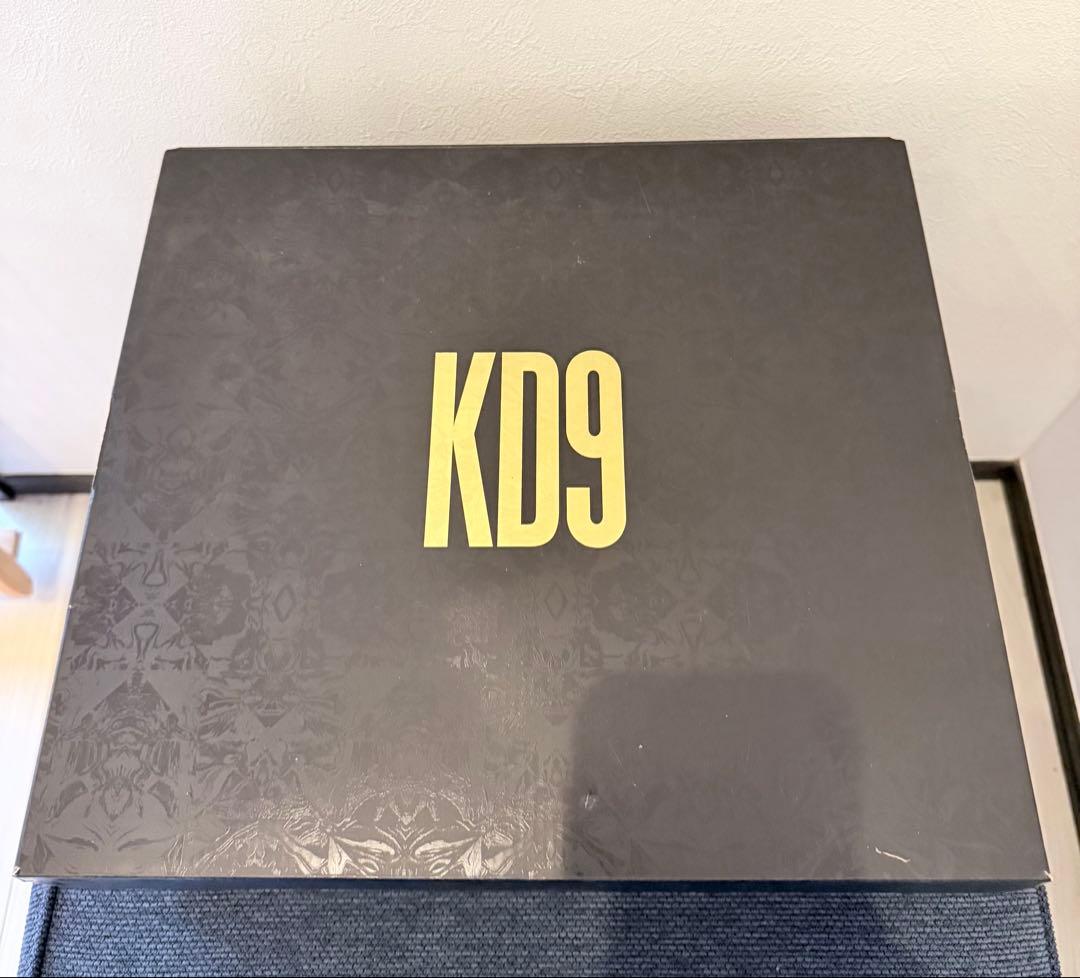 【28cm】 NIKE KD9 ELITE EP