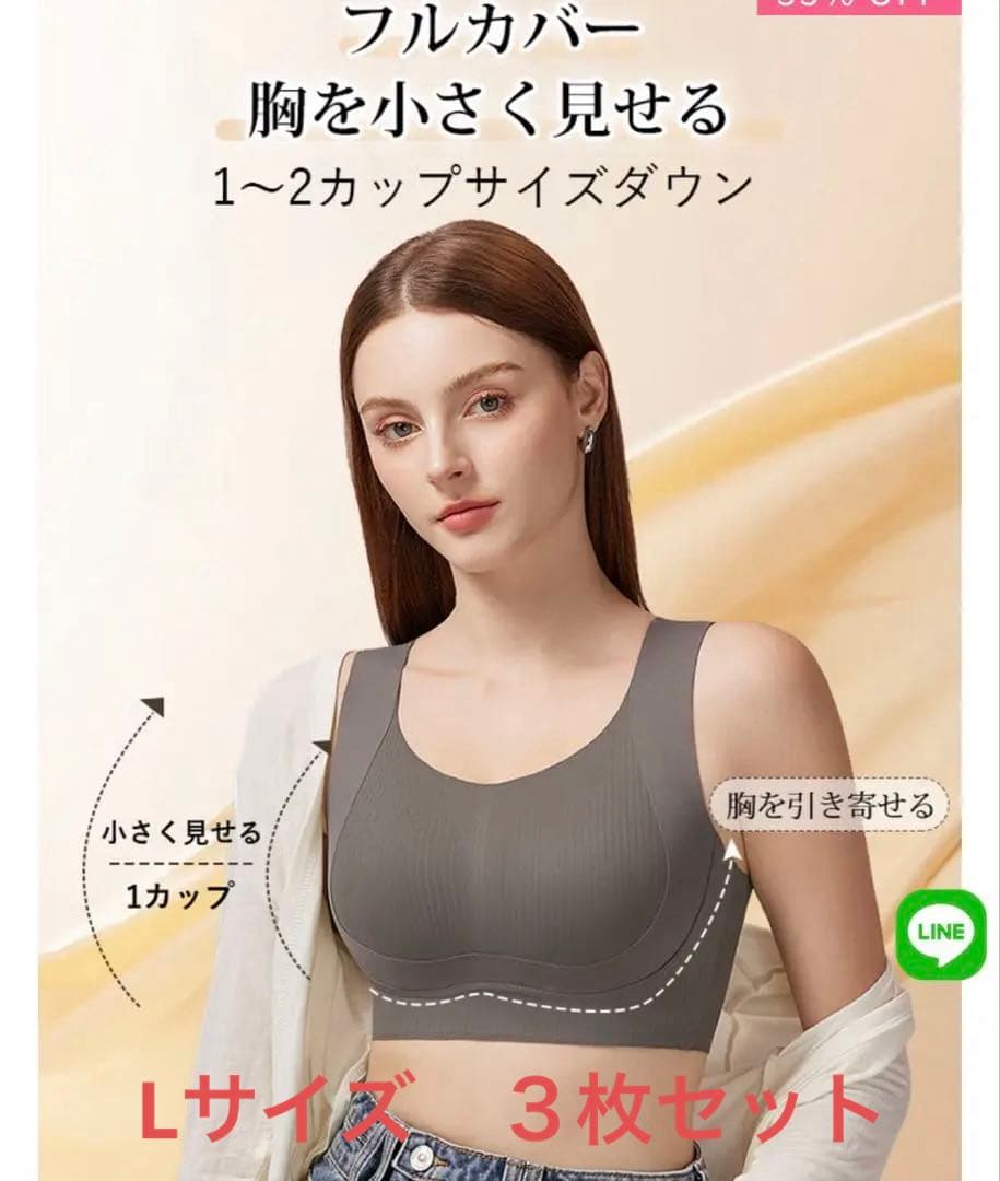 VEIMIA シームレス・胸を小さく見せるブラ　3枚セット　Lサイズ