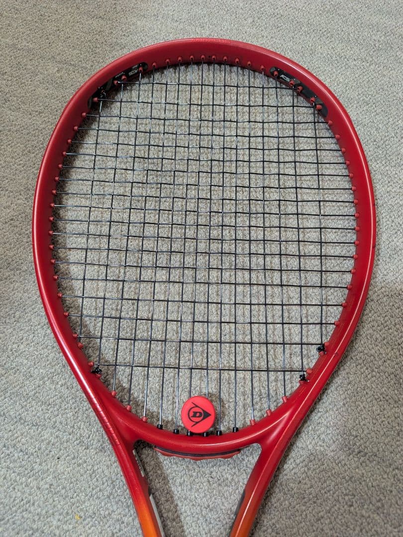 ガット新品　Prince BEAST 100 G2　2024