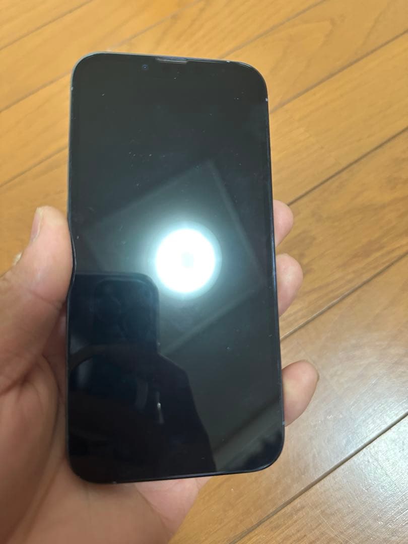Apple iPhone 13 Pro 256GB シエラブルー 本体
