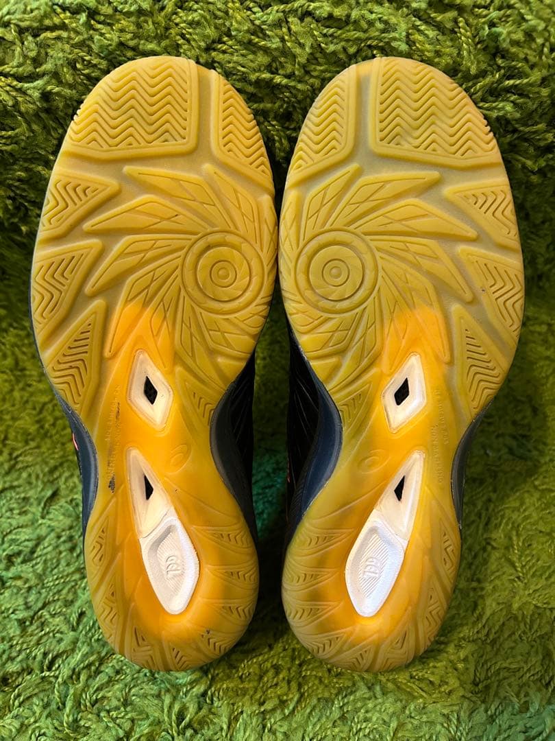 ASICS デスタッキFF2 25cm