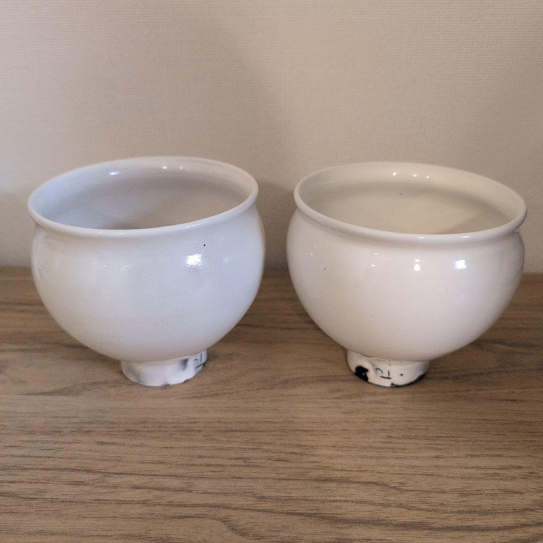 鈴木環　ピジョンカップ（大）2個セット