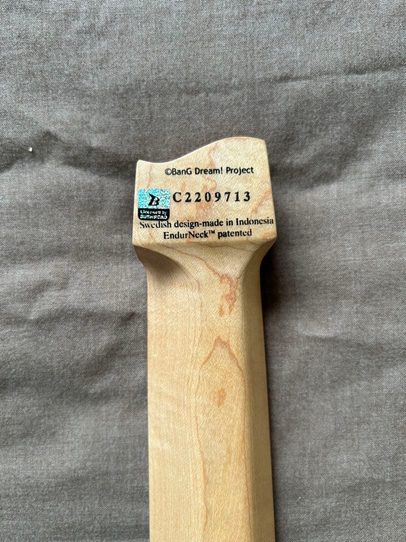 ギター Strandberg Borden RAS6