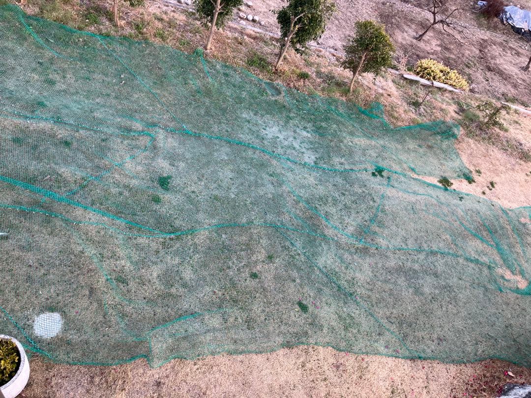 防球ネット 緑色 ナイロン製　ジャンク