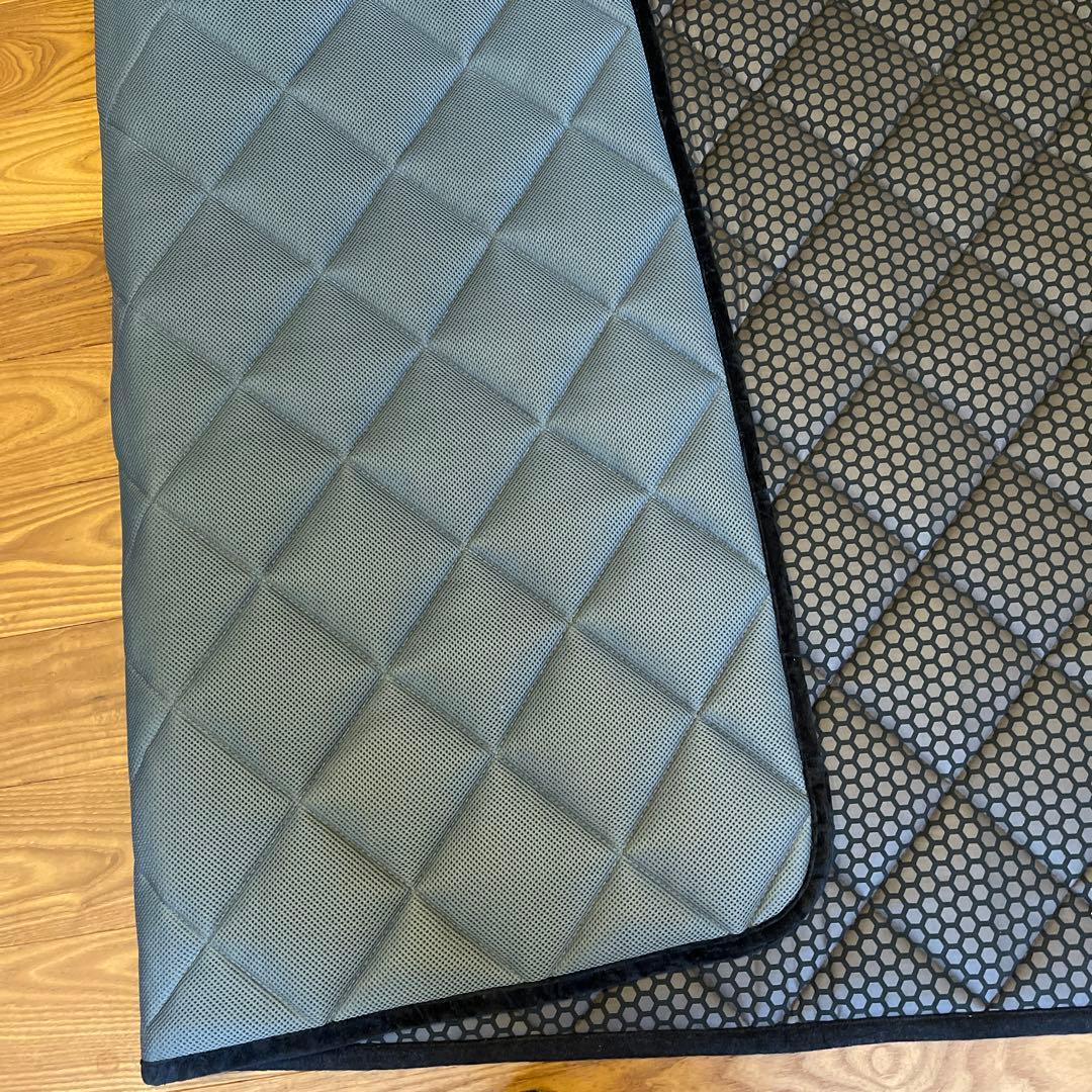 カーリスパッド　テラソフト