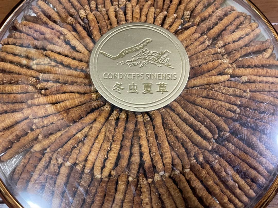 冬虫夏草