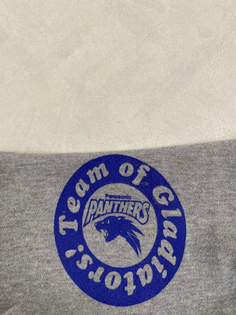 Panasonic PANTHERS パーカー サイズM パナソニックパンサーズ