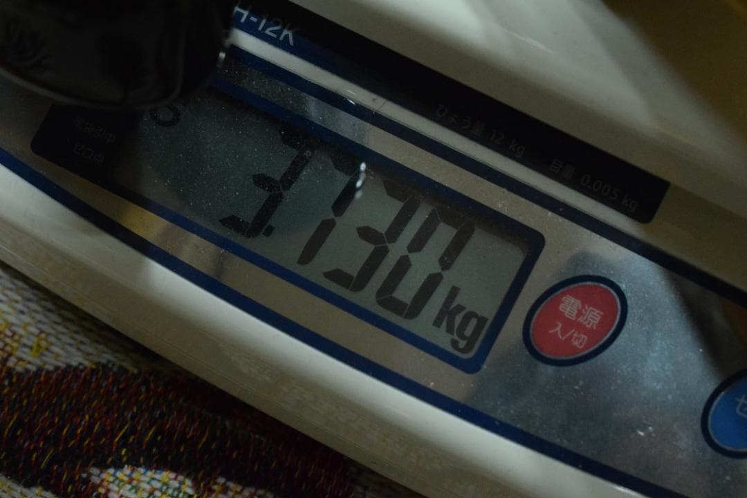 ベース Fernandes LIMITED EDITION RPB-50