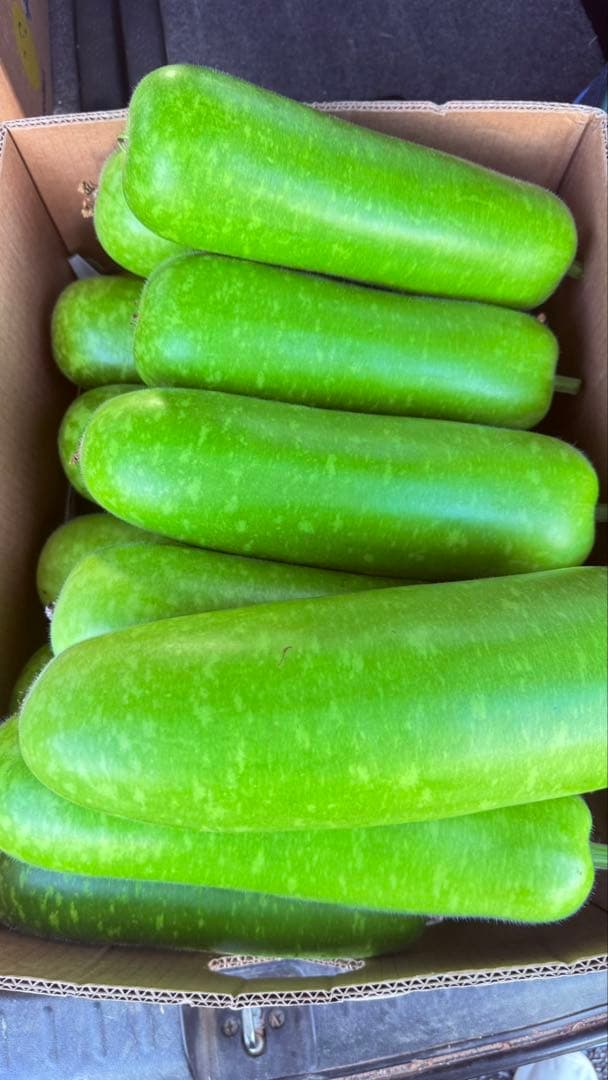 ひょうたん約23kg（※梱包を含む）