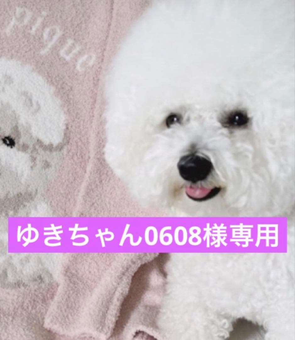 ゆきちゃん0608　　(おまとめ)