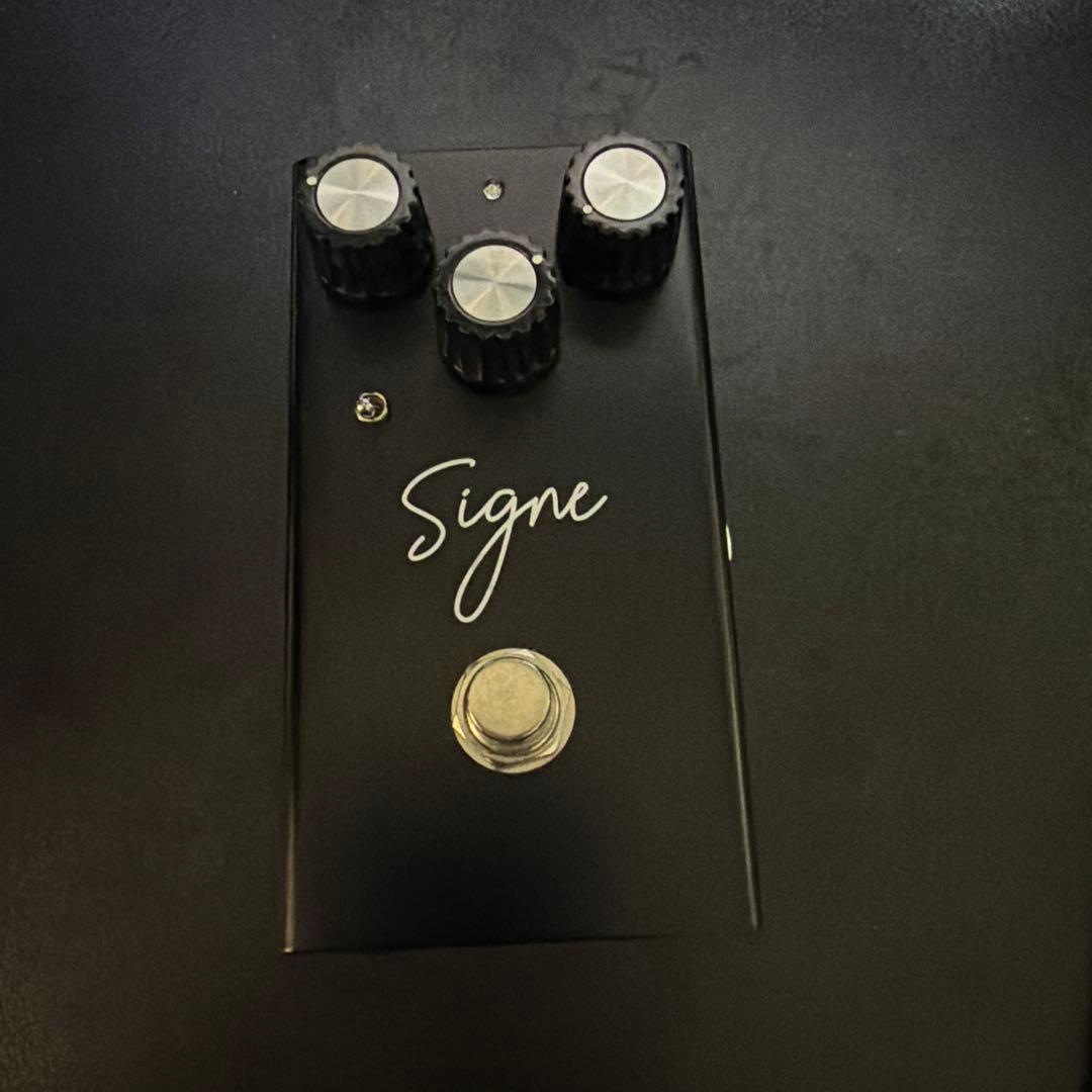 ギター Virtues Signe