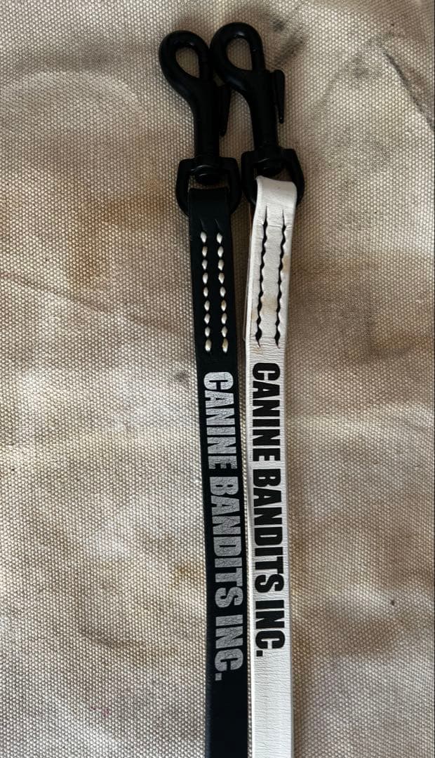 【レア】NEIGHBORHOOD ネイバーフッド 犬 ドッグ 首輪 30周年