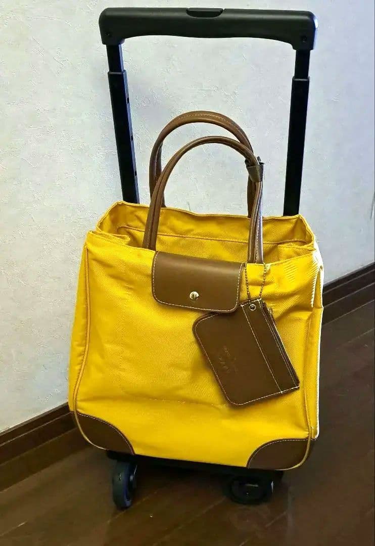 スワニー キャリーバッグ トランジットラウンジ 東京デリカオリジナル