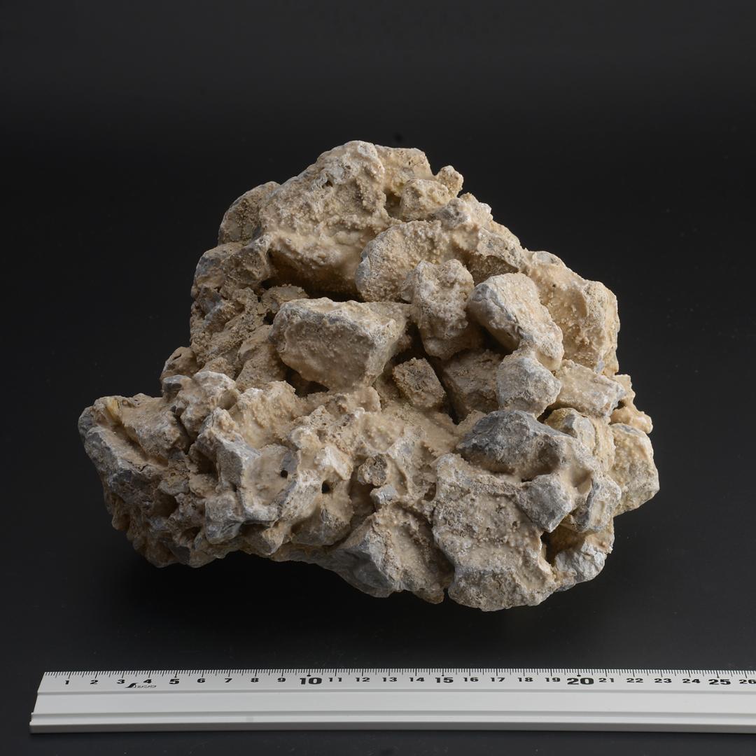 さざれ石（石灰質角礫岩 W24.2cm/D21.5cm/H15.1cm）082