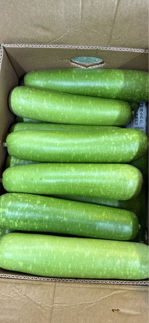 新鮮なユウガオ19キロ