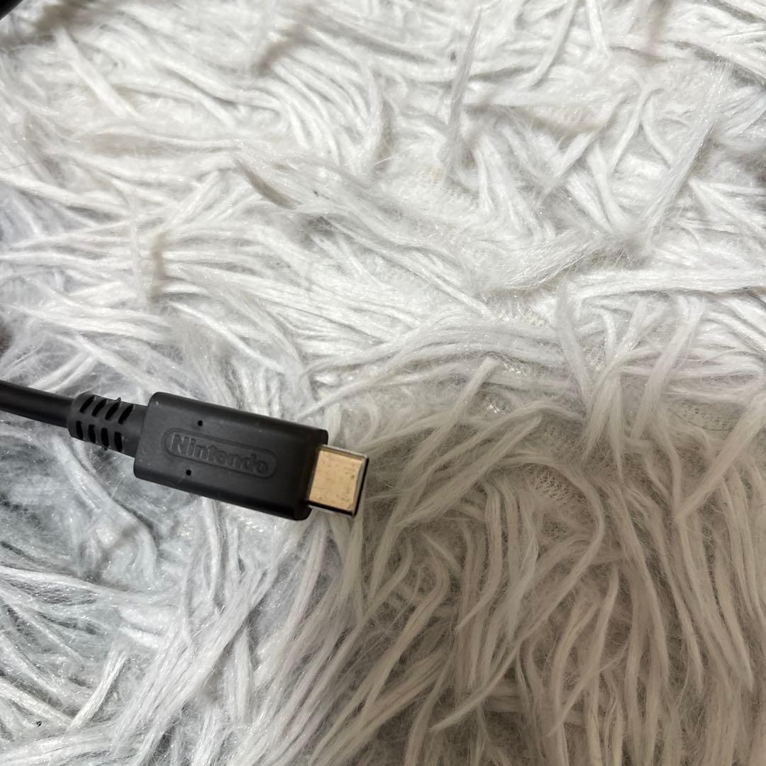 Nintendo Switch Lite ターコイズ本体、他1式セット