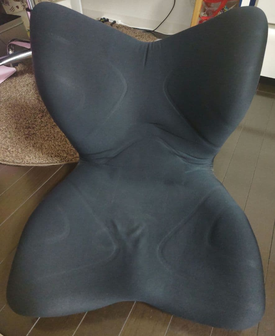 MTG スタイルプレミアム ブラック　中古　骨盤矯正　腰痛　姿勢