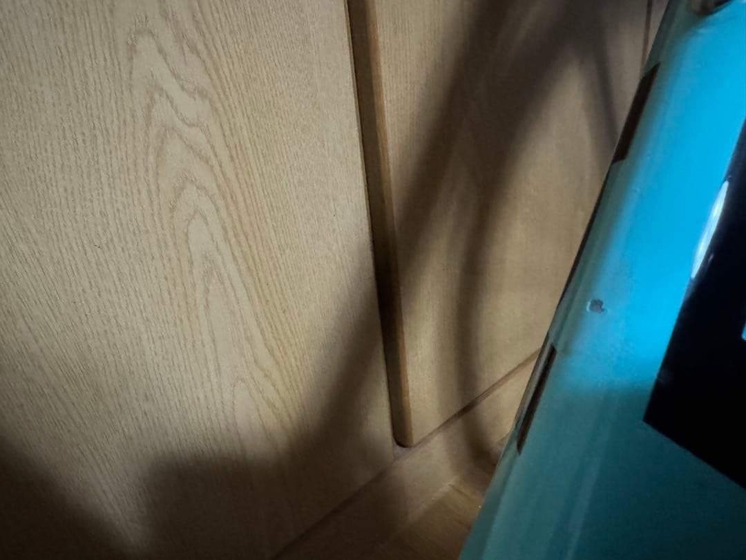 自転車本体 BIANCHI OLTRE XR3 DISC