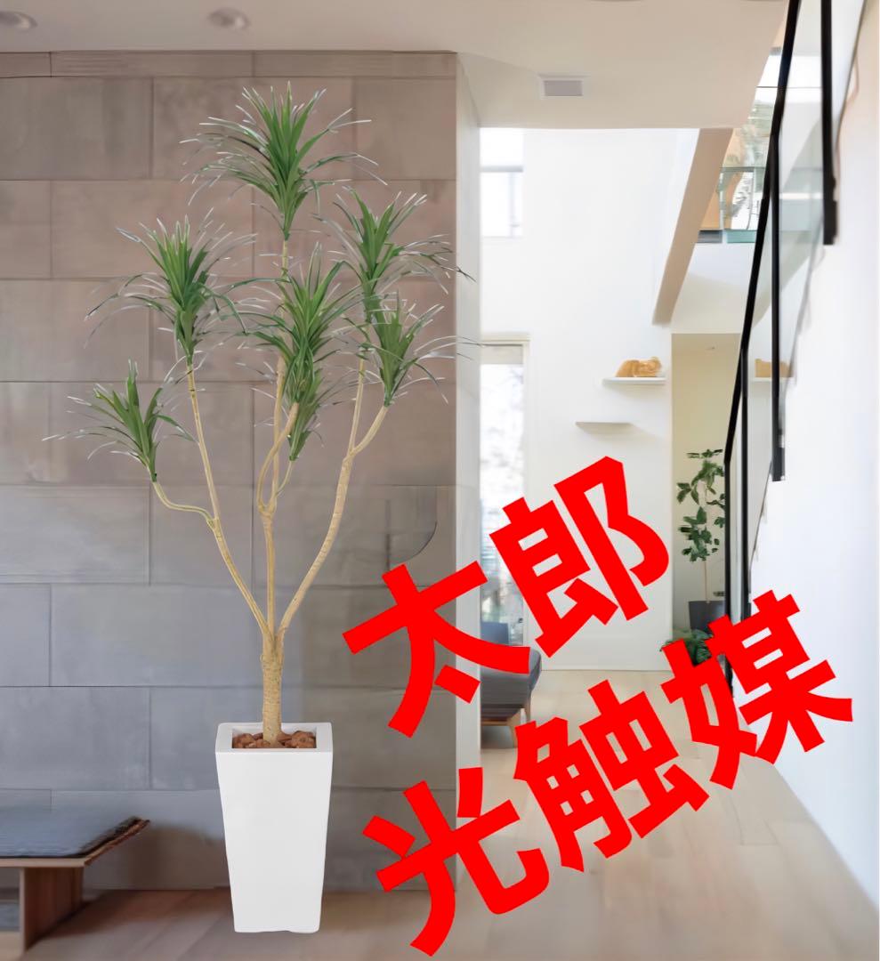 光触媒　人工観葉植物　ウォールグリーン　フェイクグリーン　ユッカ 1.75ｍ