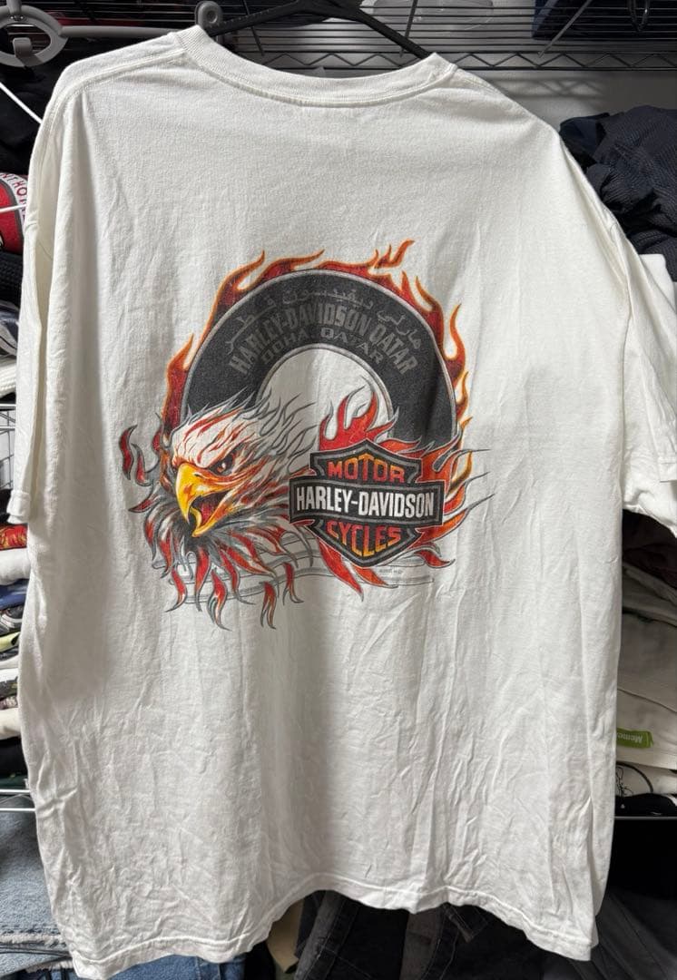 00s USA製 Harley-Davidson ハーレーフレイムT