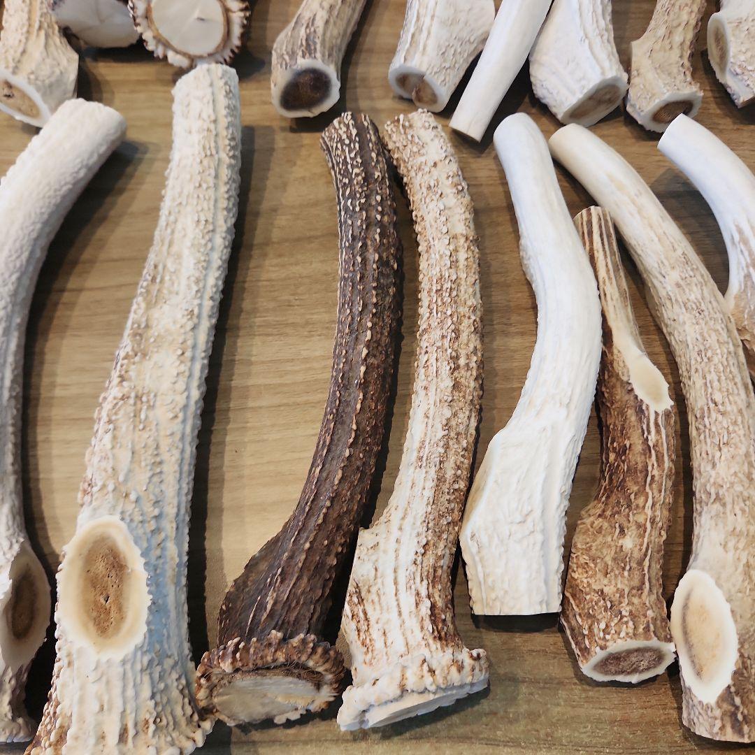 ぶち　鹿の角 (特大～大サイズ)犬用おもちゃ ランダム　2kg　8本