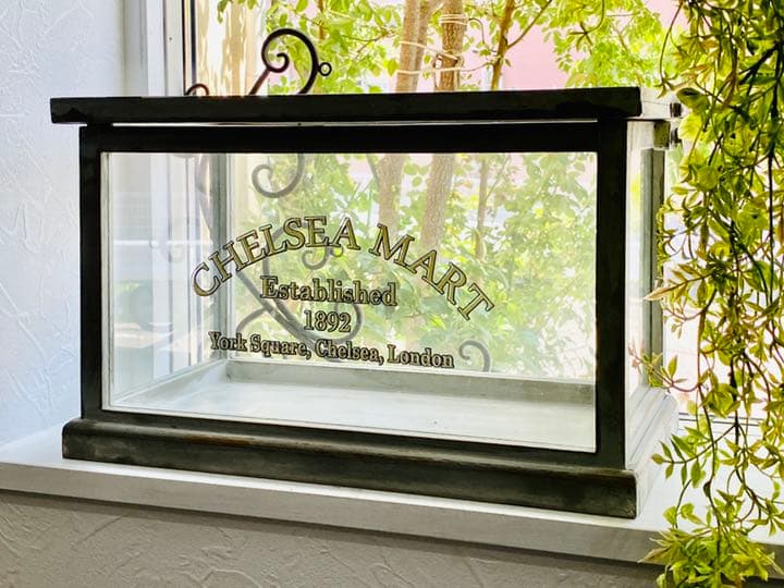 テラリウム　ディスプレイ用BOX