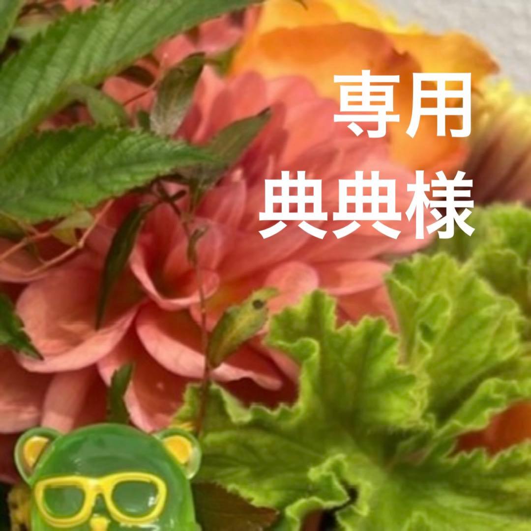 専用ページ 典典様2/15