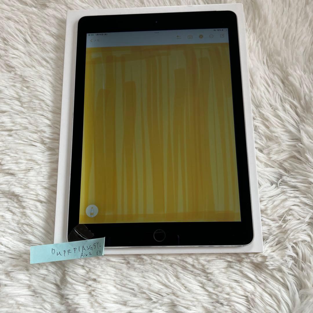 【完動品】iPad Air2 64GB SIMフリー 【すぐ発送】