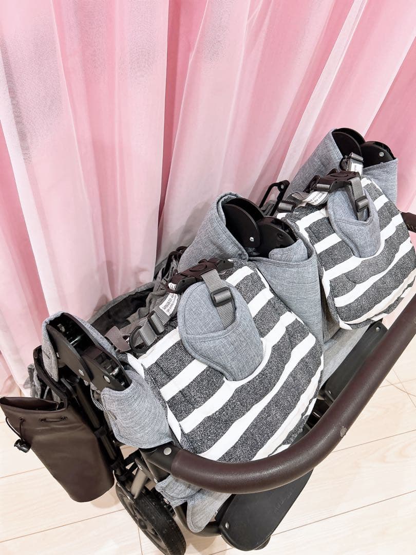 AirBuggy(エアバギー) ココ ダブル エクストラ フロムバース