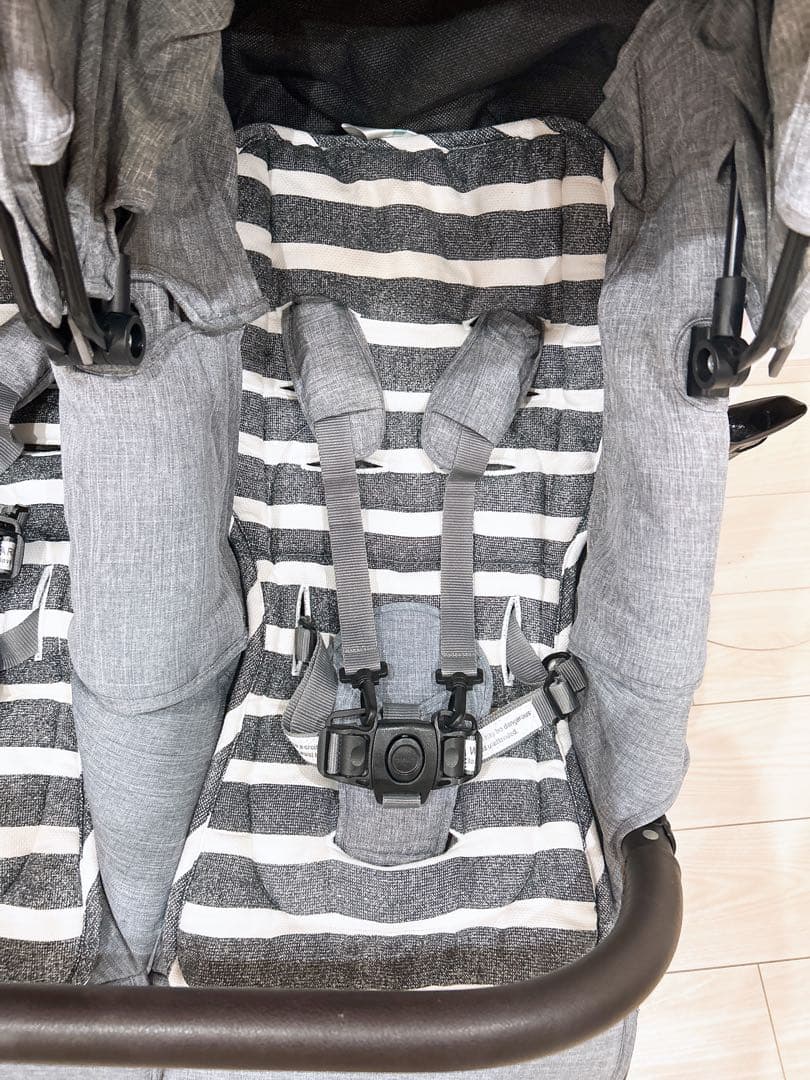 AirBuggy(エアバギー) ココ ダブル エクストラ フロムバース