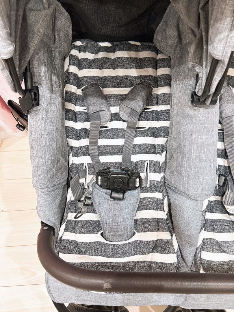 AirBuggy(エアバギー) ココ ダブル エクストラ フロムバース