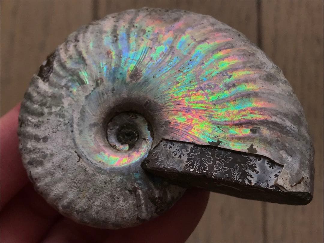 chomsky.Ramone様 リクエスト 4点 まとめ商品