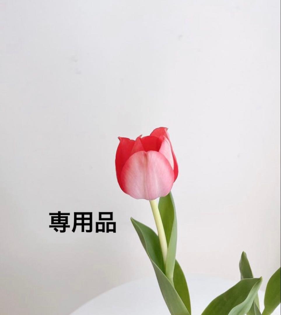 ミルボン オージュア インメトリィ システムトリートメント フルセット