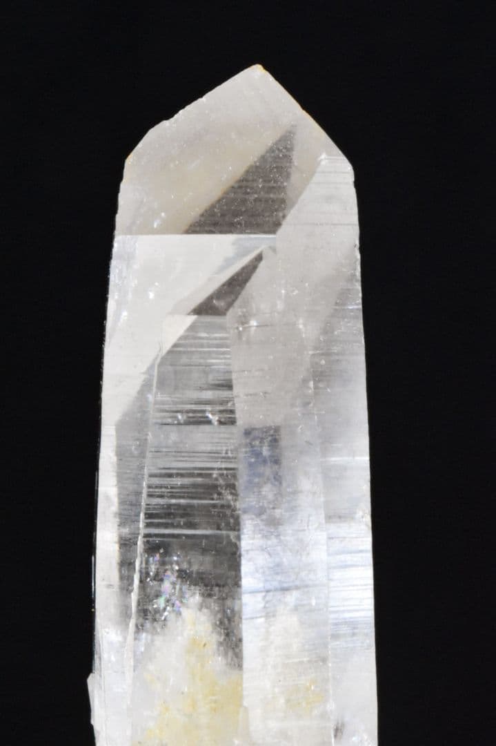 インドメルー産 ライトゴールデンヒーラー01