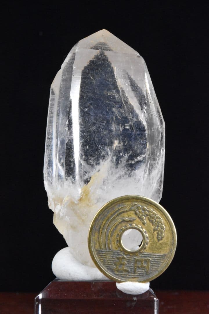 インドメルー産 ライトゴールデンヒーラー01