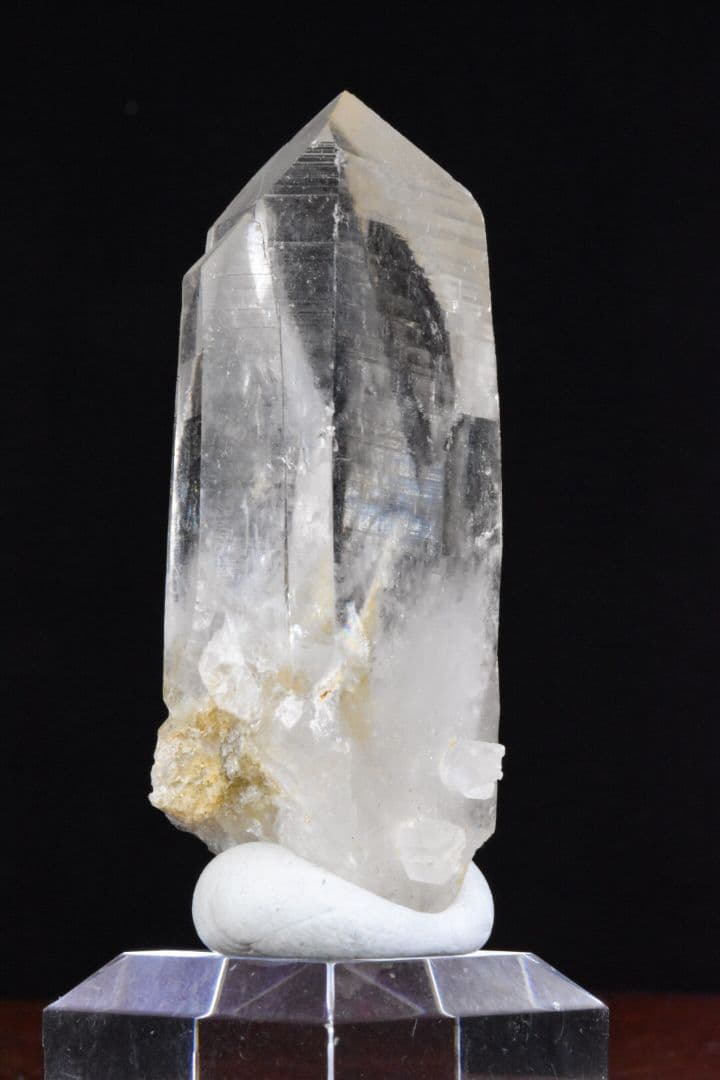 インドメルー産 ライトゴールデンヒーラー01