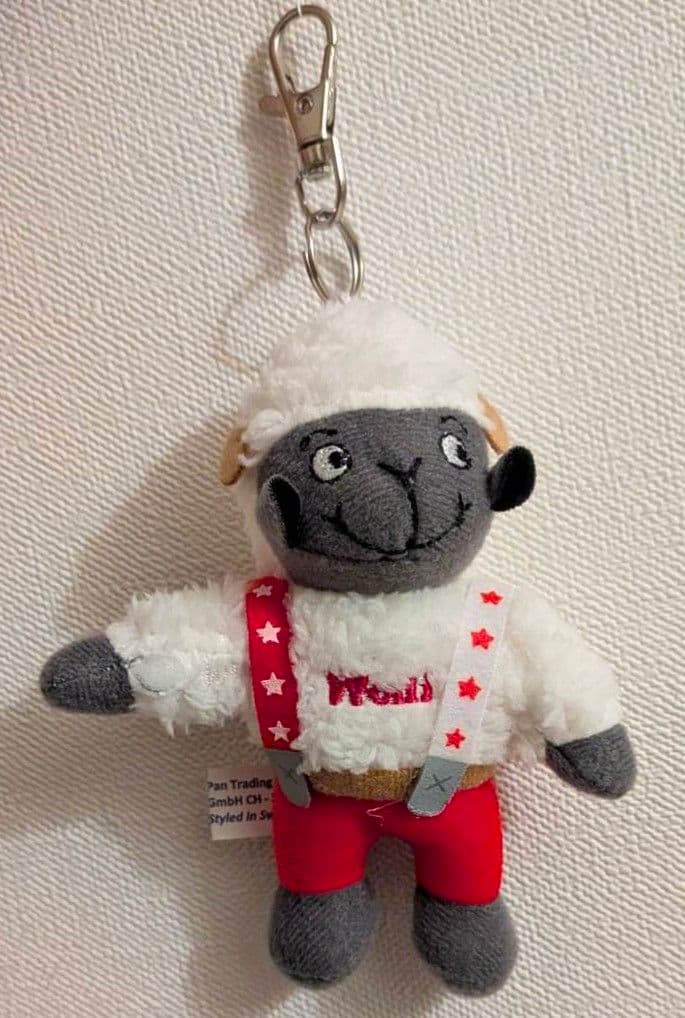 Wolli ウォーリー スイス BTS JUNG KOOK イゲマジャ【残1】